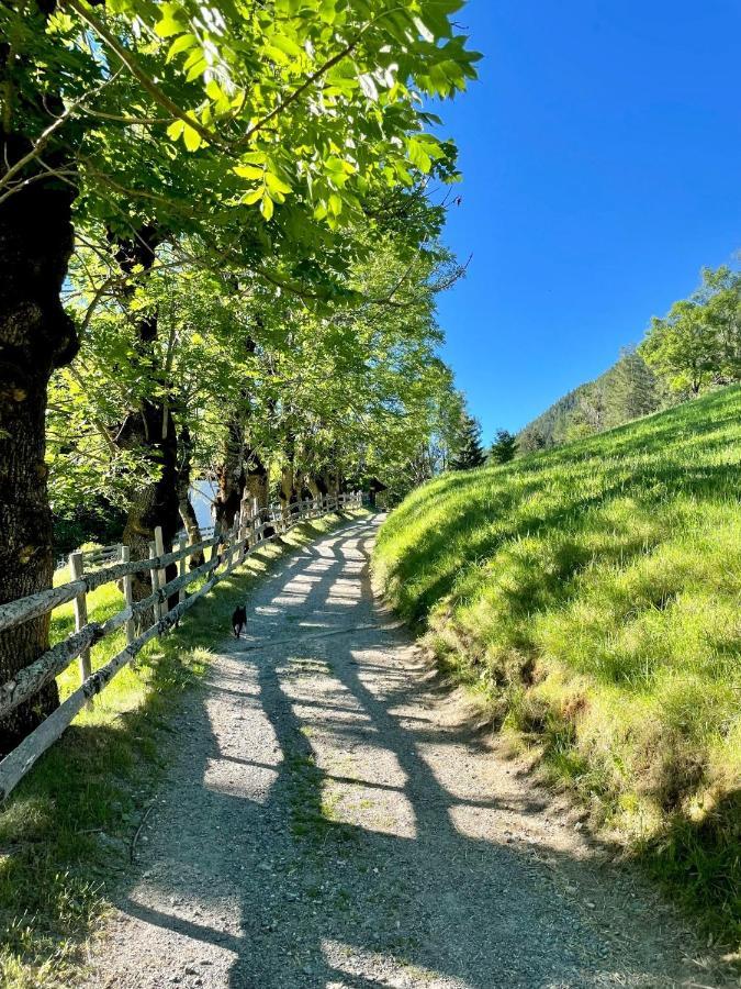 Alpenliebe Daire Bad Kleinkirchheim Dış mekan fotoğraf