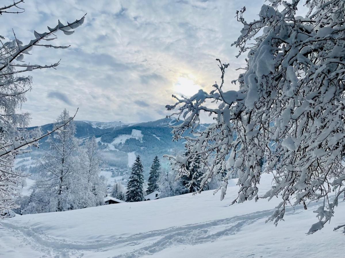 Alpenliebe Daire Bad Kleinkirchheim Dış mekan fotoğraf