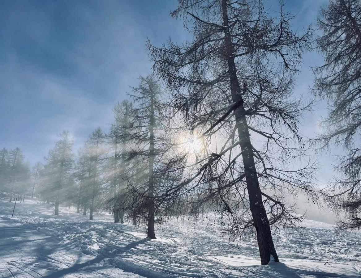 Alpenliebe Daire Bad Kleinkirchheim Dış mekan fotoğraf